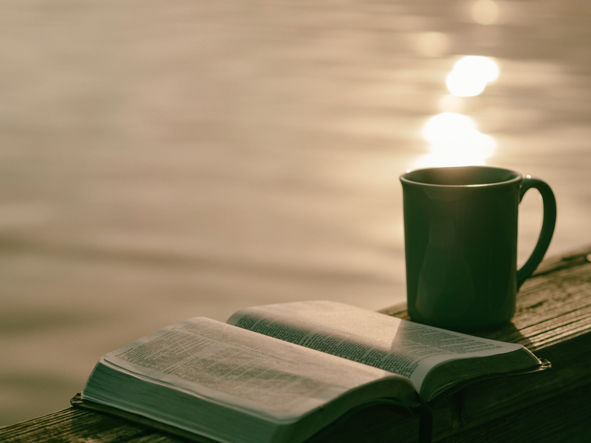 aaron-burden-4ewwsxadhe4-unsplash