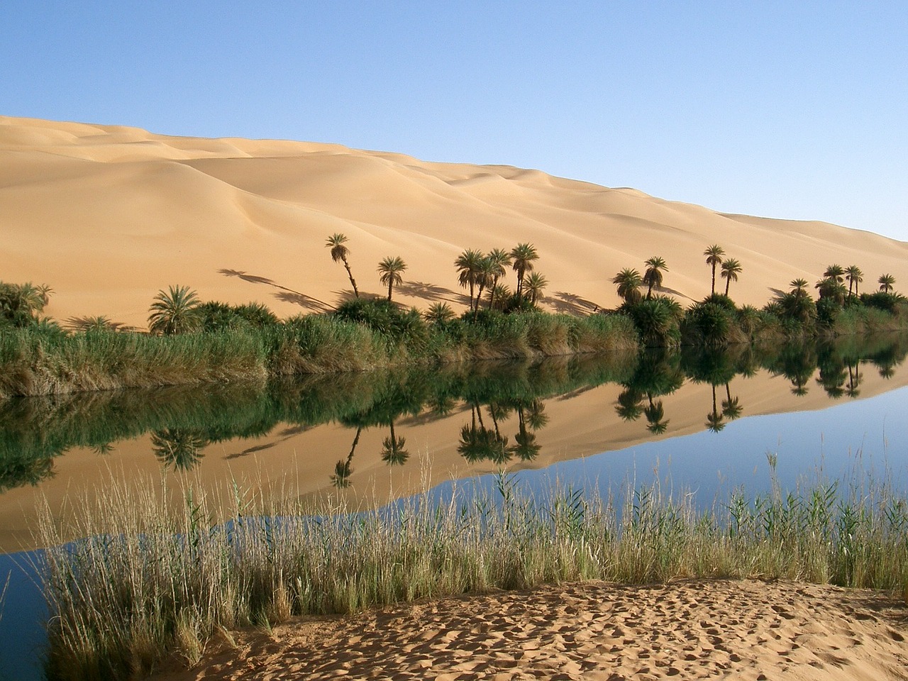 oasis-67549_1280