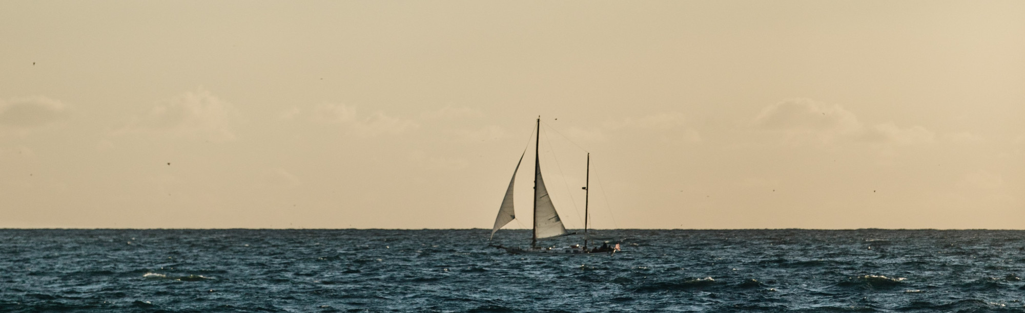 nathan-dumlao-hhrpzxgrlzw-unsplash