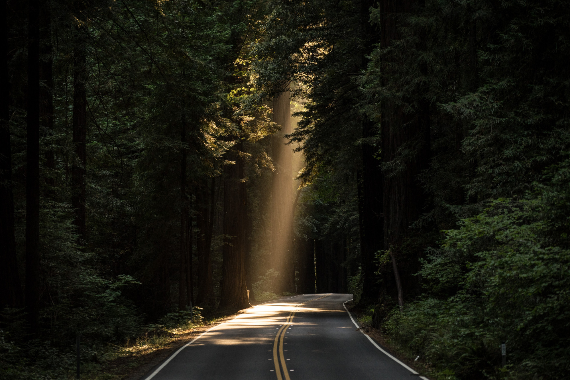 john-towner-3kv48ns4wuu-unsplash